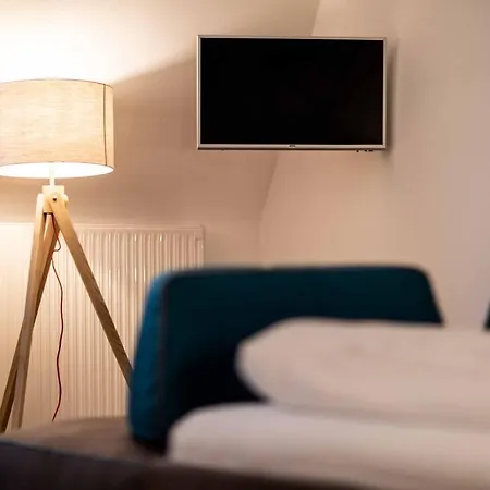 Cooper L Zum Loewen Guest house 3*