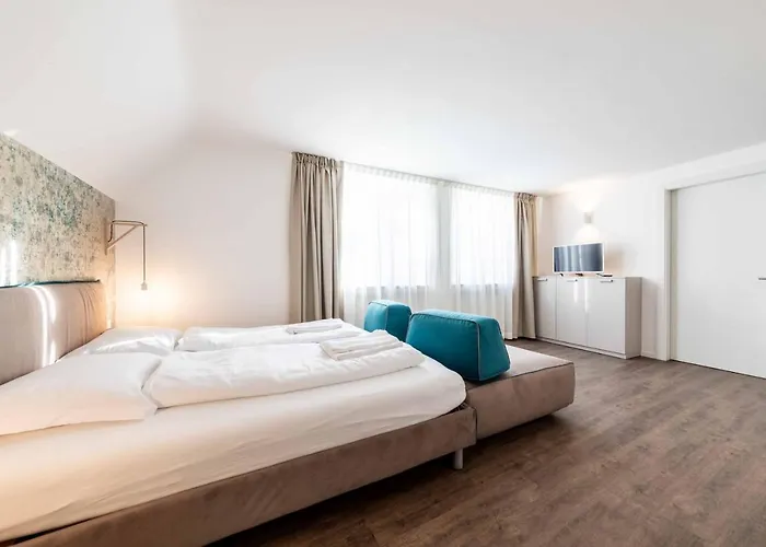 Cooper L Zum Loewen Konukevi Merano